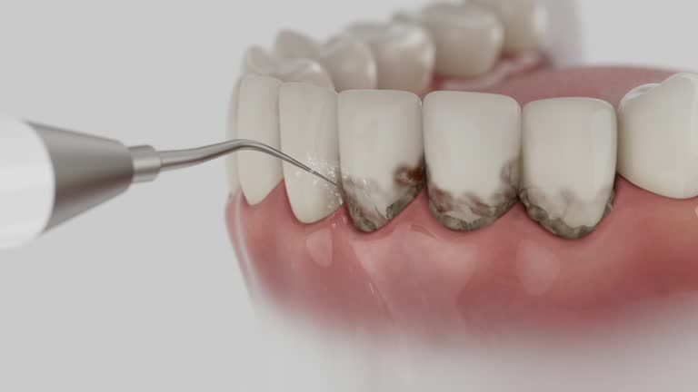 Reliable Dental contractor in Pine Mountain Club, CA by Dentist Open Now